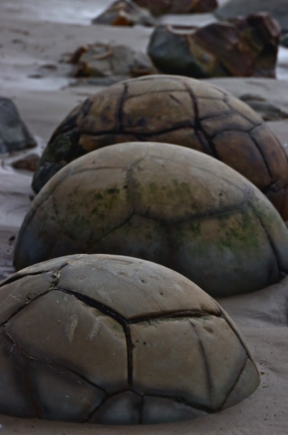 Moekaki Boulders